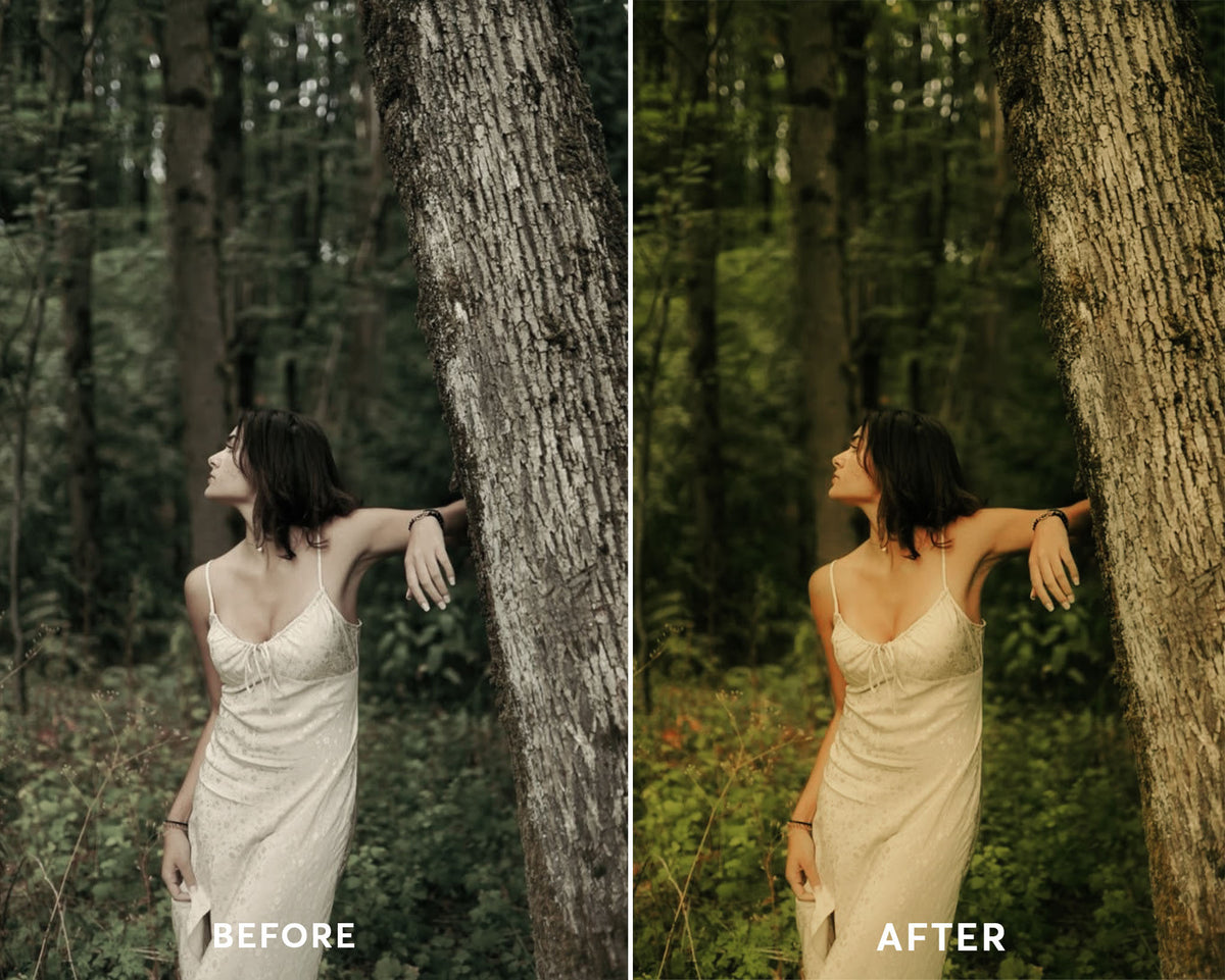 Organic - Luminar NEO Presets