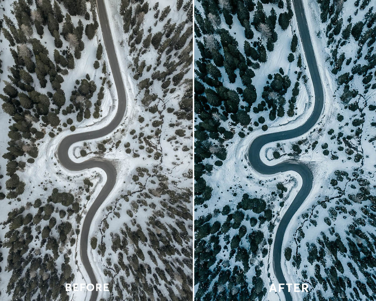Winter Drone Presets Collection