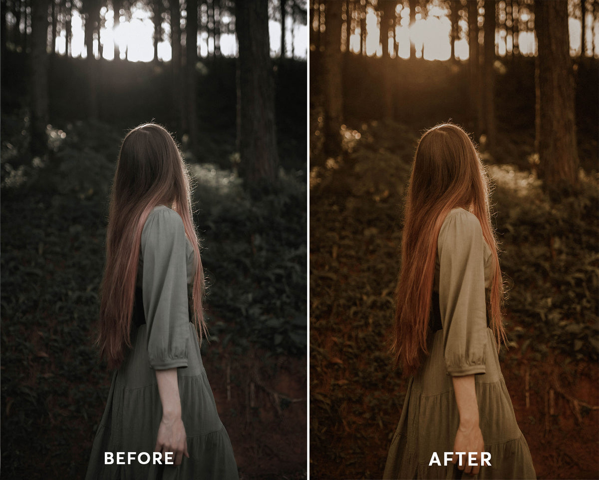 Rustic Fall - Luminar NEO Presets