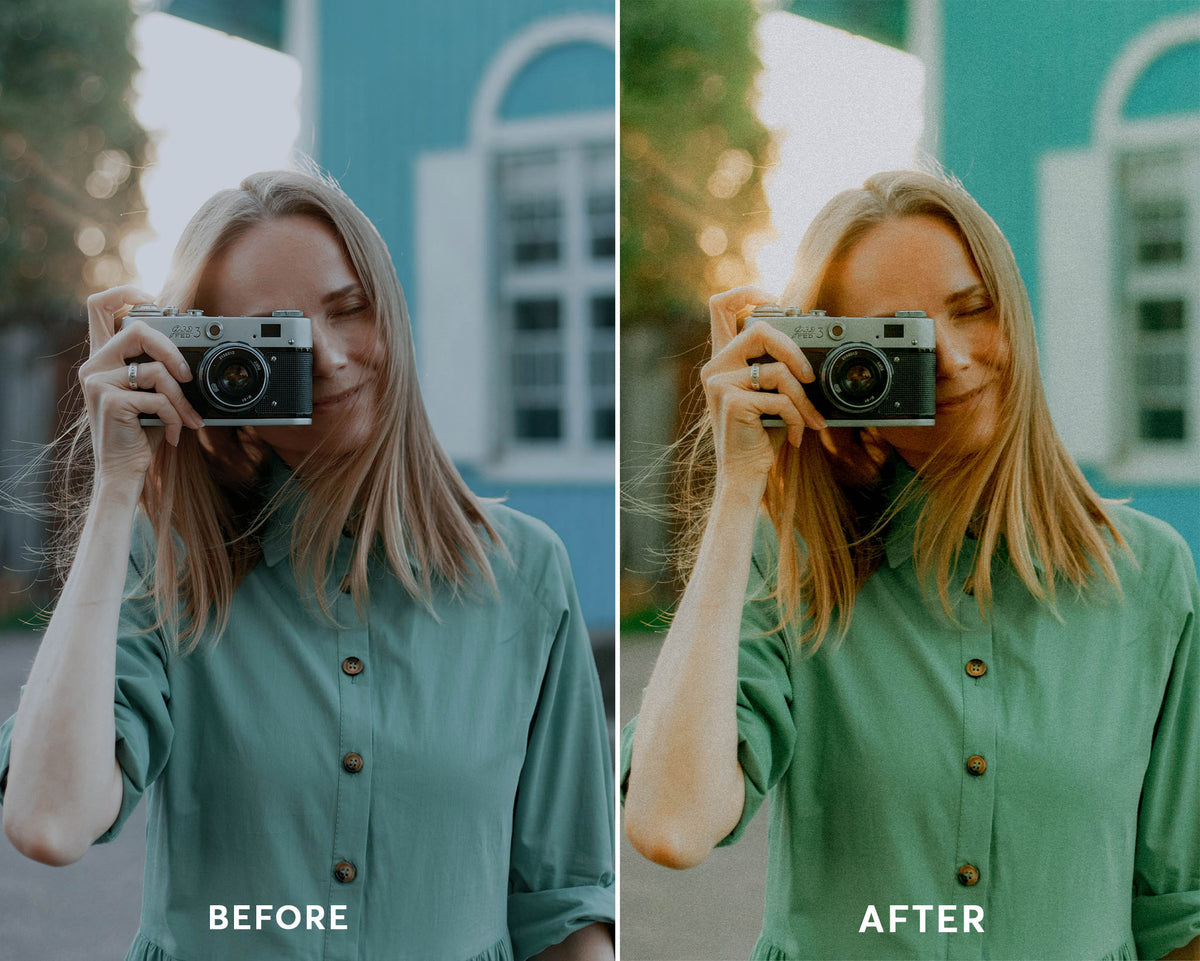 Classic Film - Luminar NEO Presets