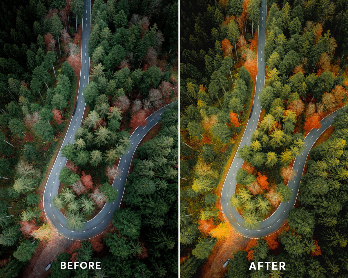 Drone Forest Presets Collection