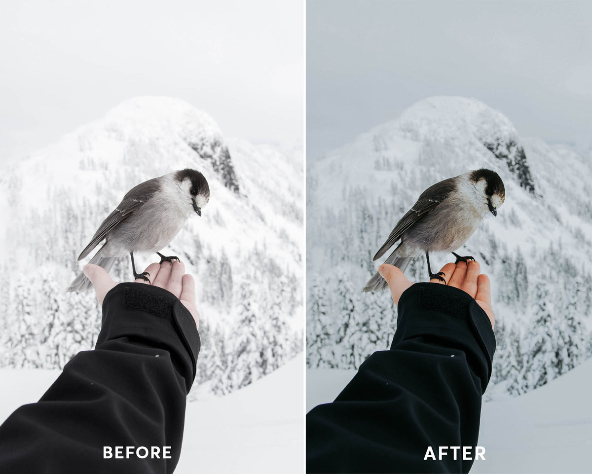 Dark Winter - Luminar NEO Presets