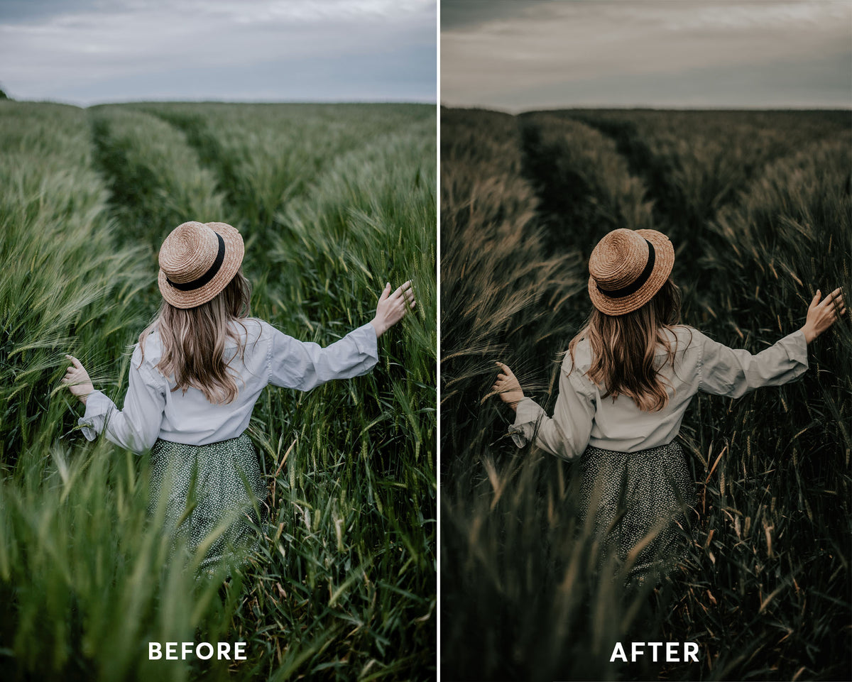 Dark Moody Presets Collection