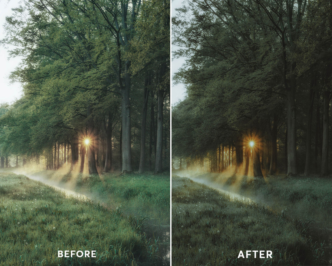 Cinematic Green Presets Collection – Huliluts Presets