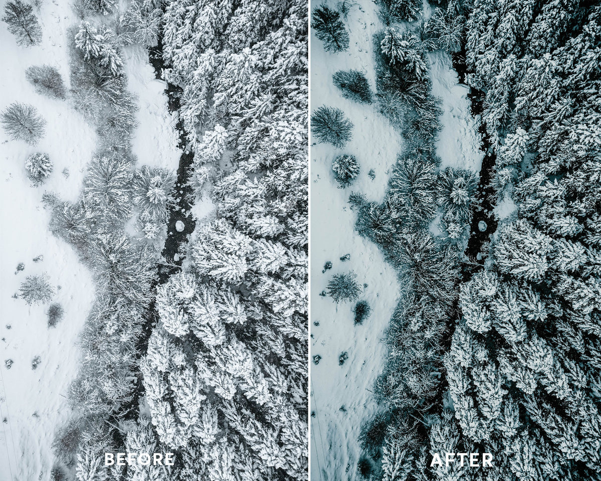 Winter Drone Presets Collection