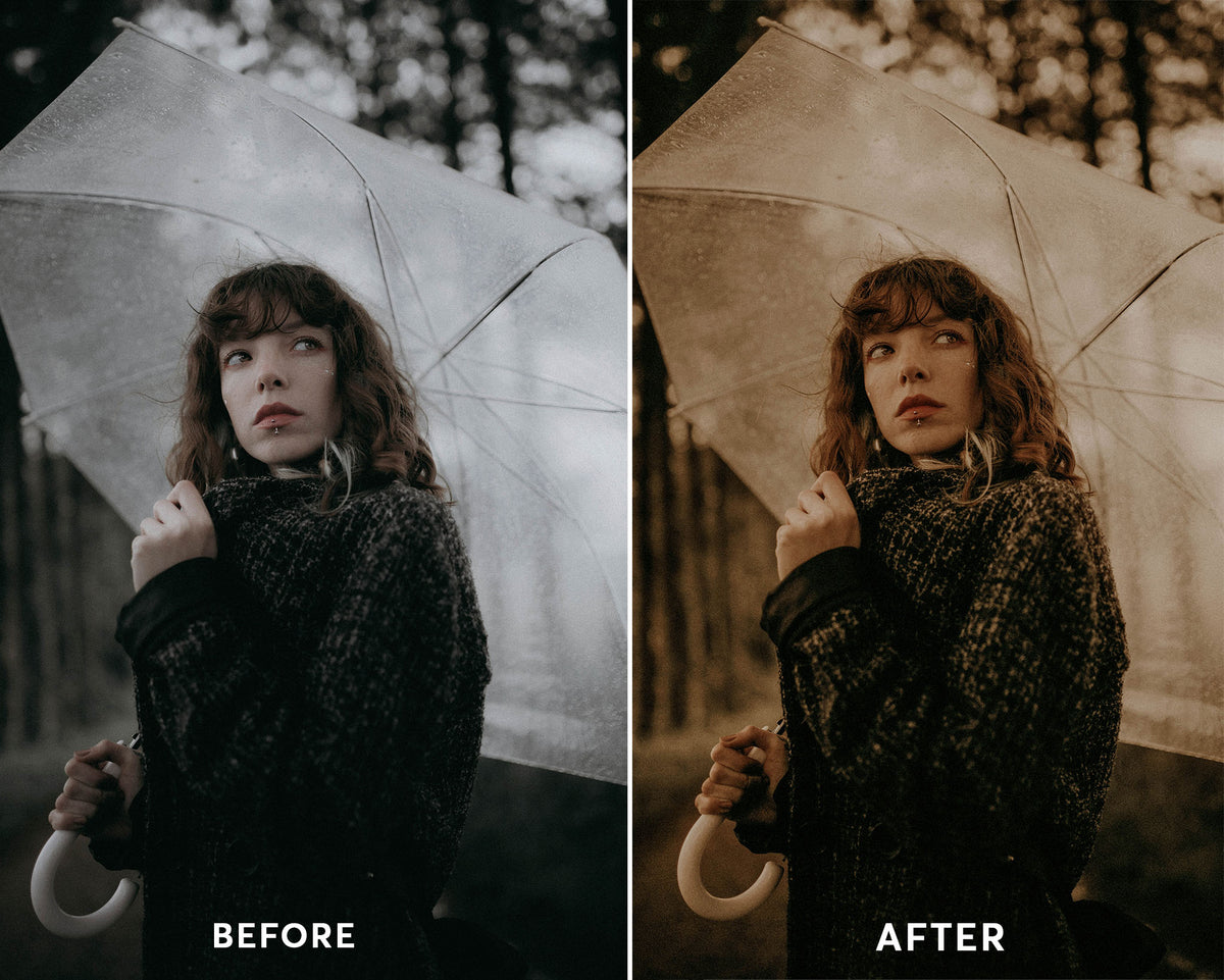 Rustic Fall - Luminar NEO Presets