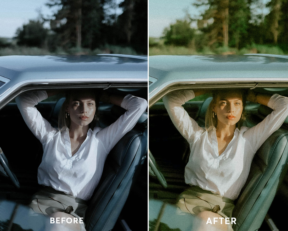 Classic Film - Luminar NEO Presets