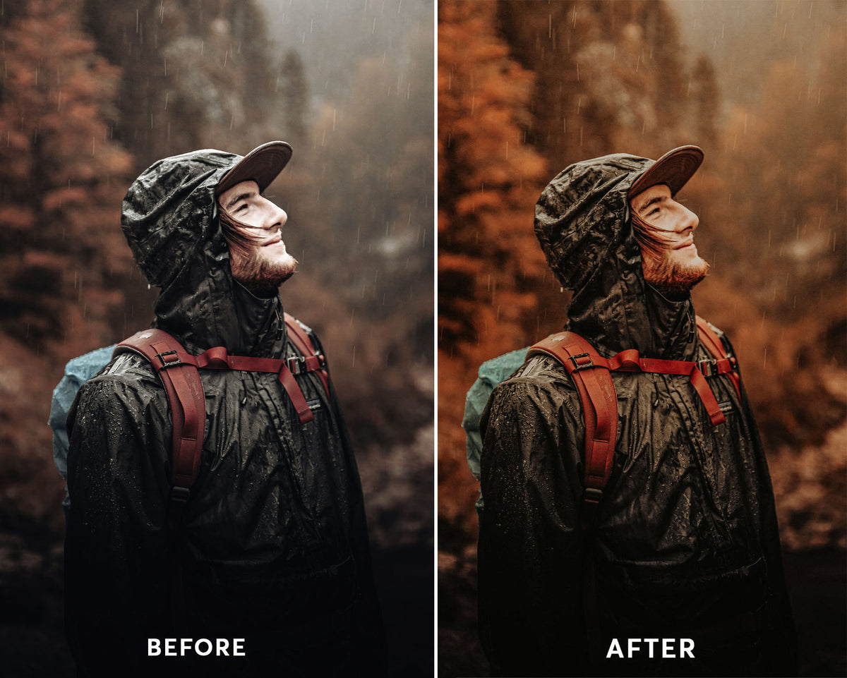Moody Earthy - Luminar NEO Presets