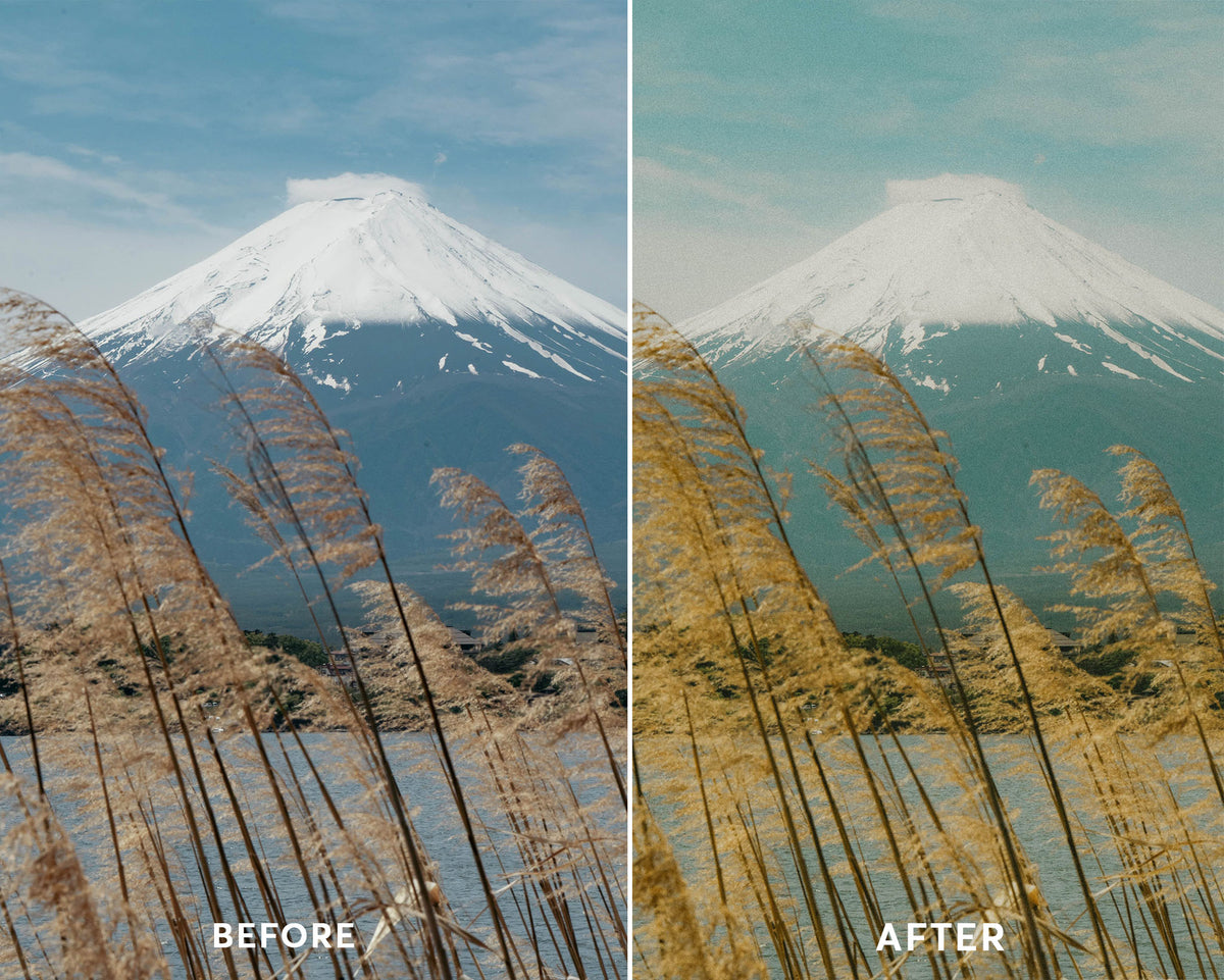 Portra 400 Presets Collection