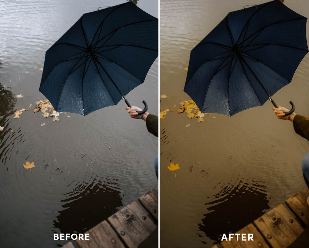 Rainy - Luminar NEO Presets