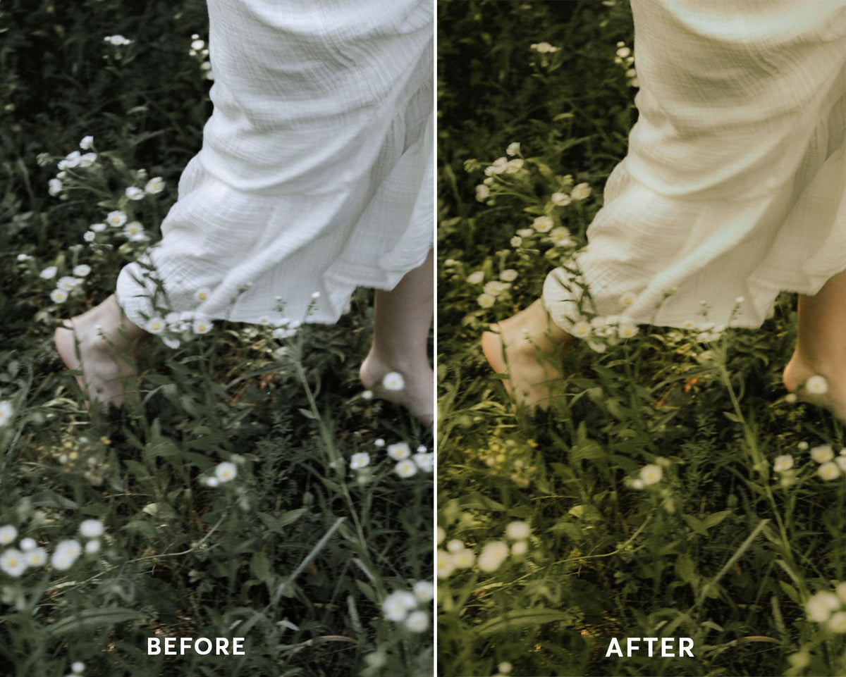 Organic - Luminar NEO Presets
