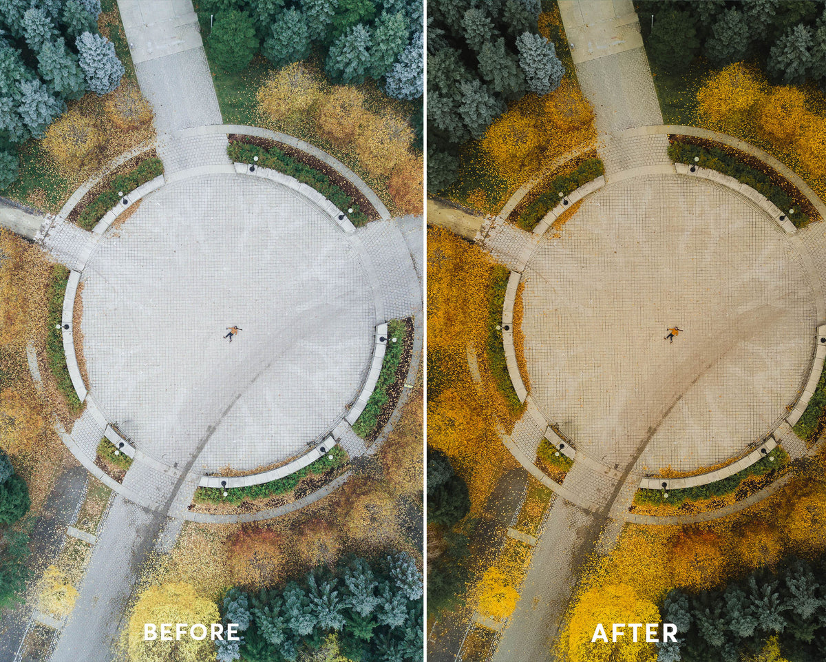 Drone Forest Presets Collection