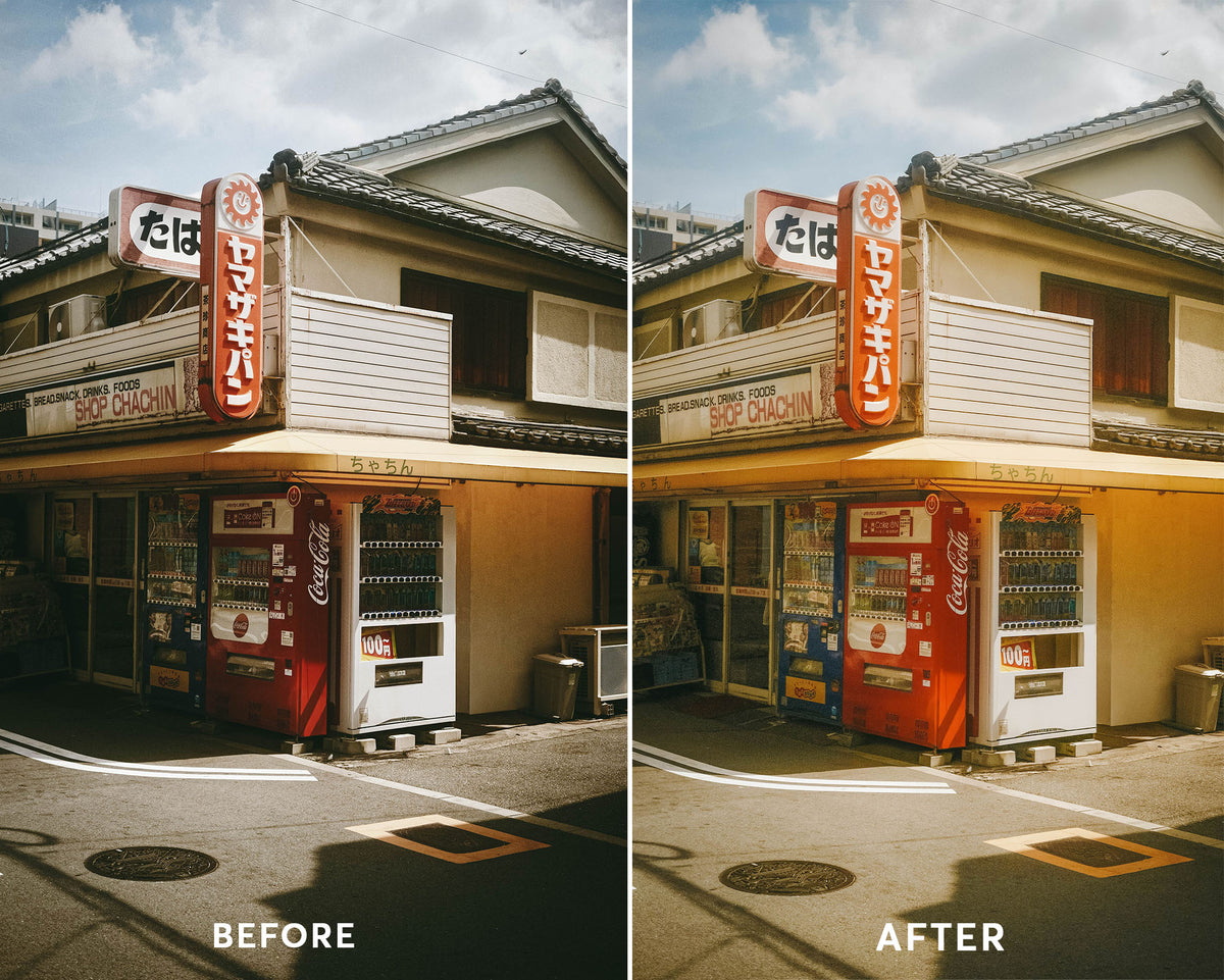 Analog Film Presets Collection
