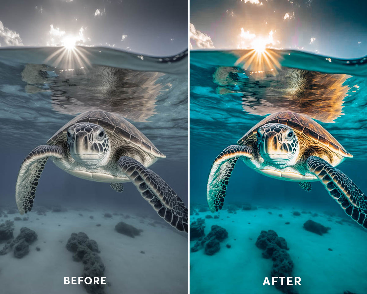 Underwater Presets Collection