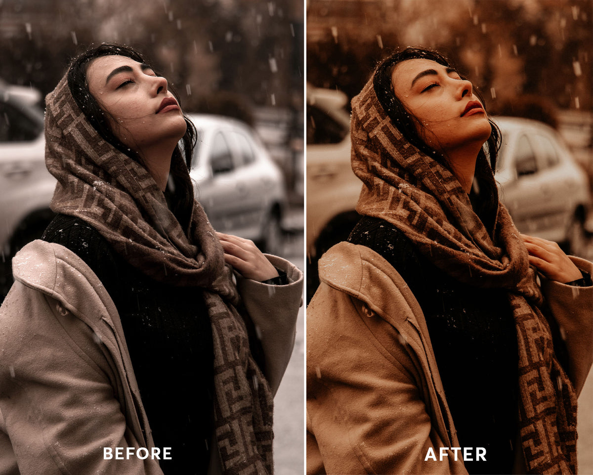 Moody Earthy - Luminar NEO Presets