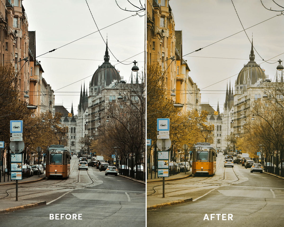 Analog Film Presets Collection