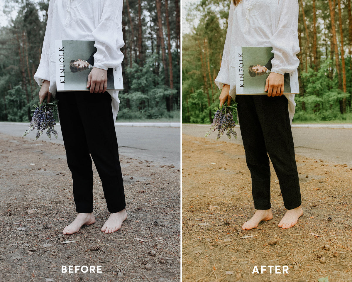 Classic Film - Luminar NEO Presets