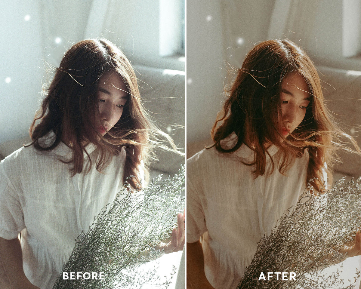 Vintage Film - Luminar NEO Presets