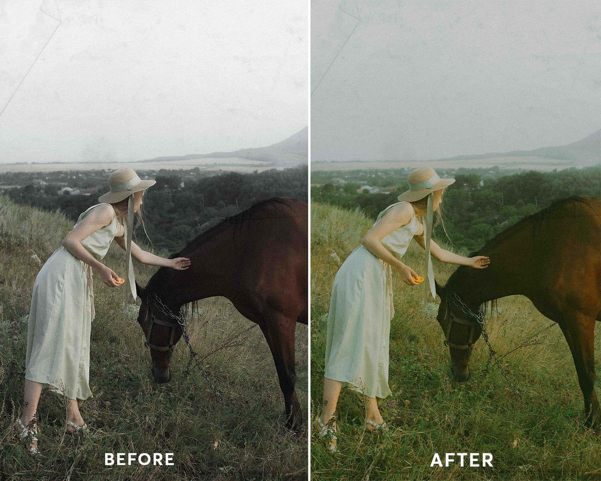 Vintage - Luminar NEO Presets