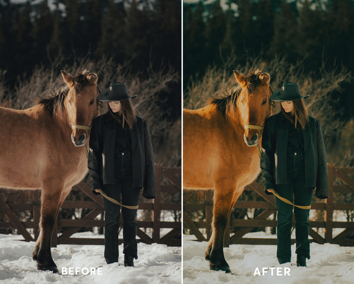 Cinematic Presets Collection
