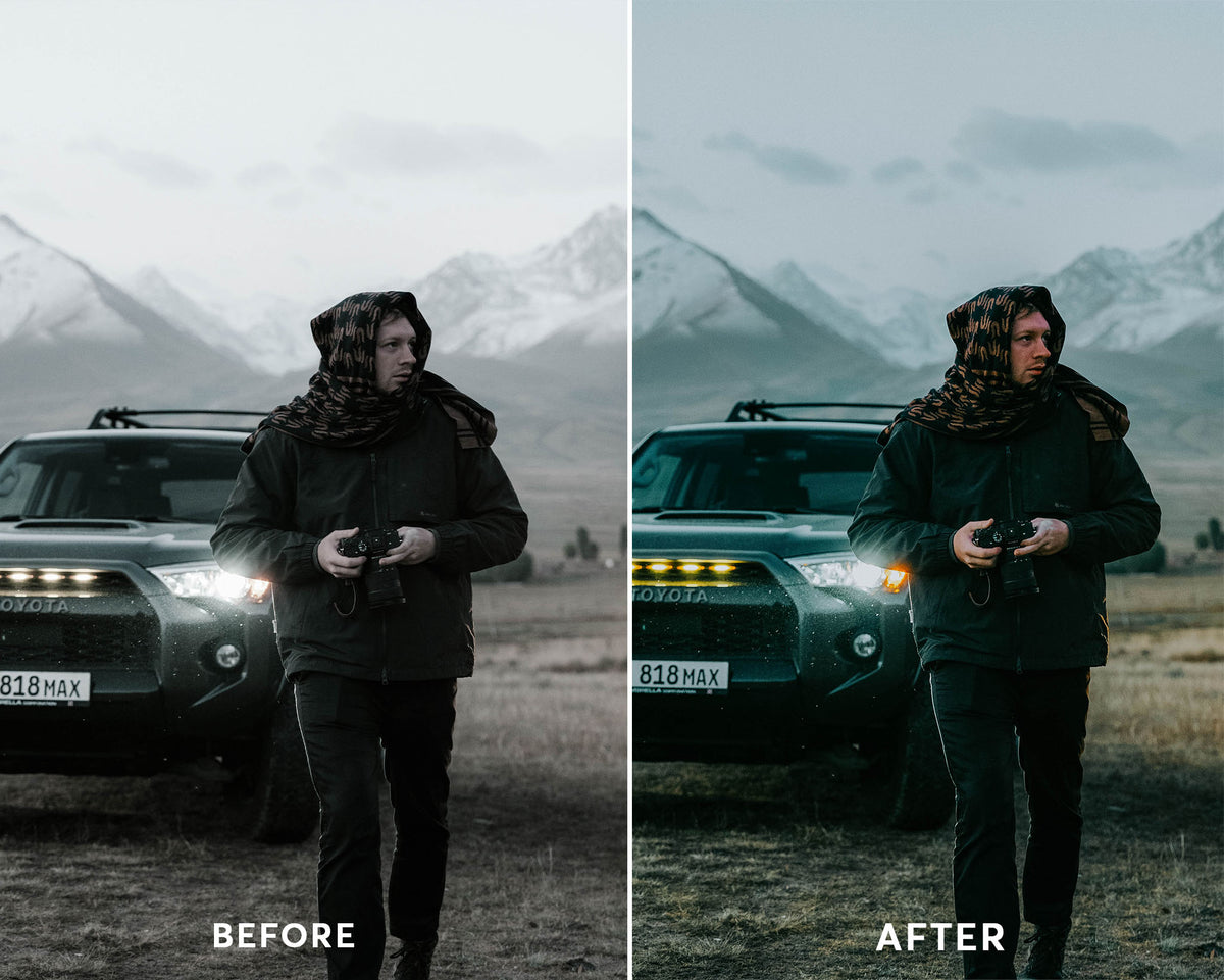 Dark Winter - Luminar NEO Presets