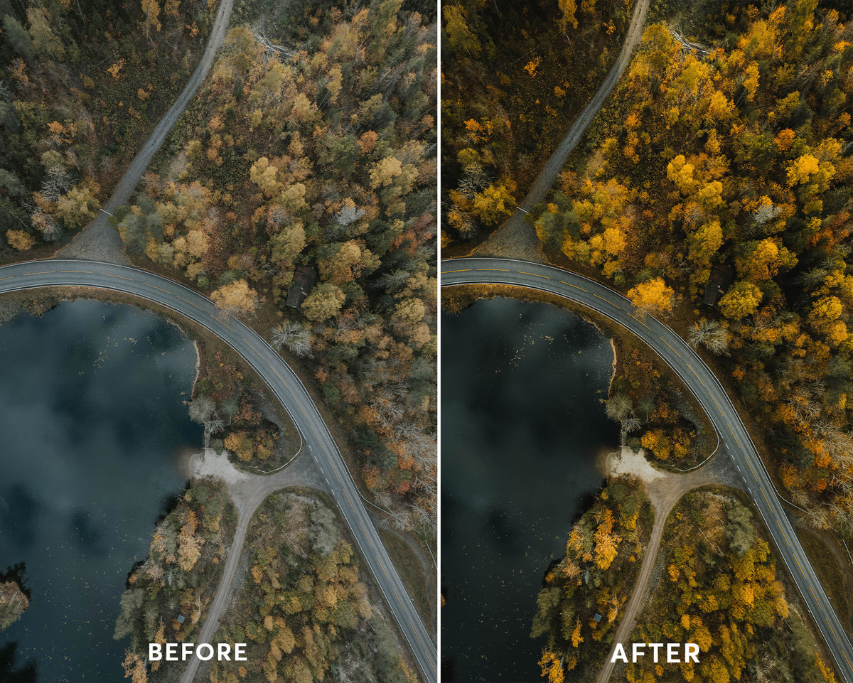 Drone Forest Presets Collection