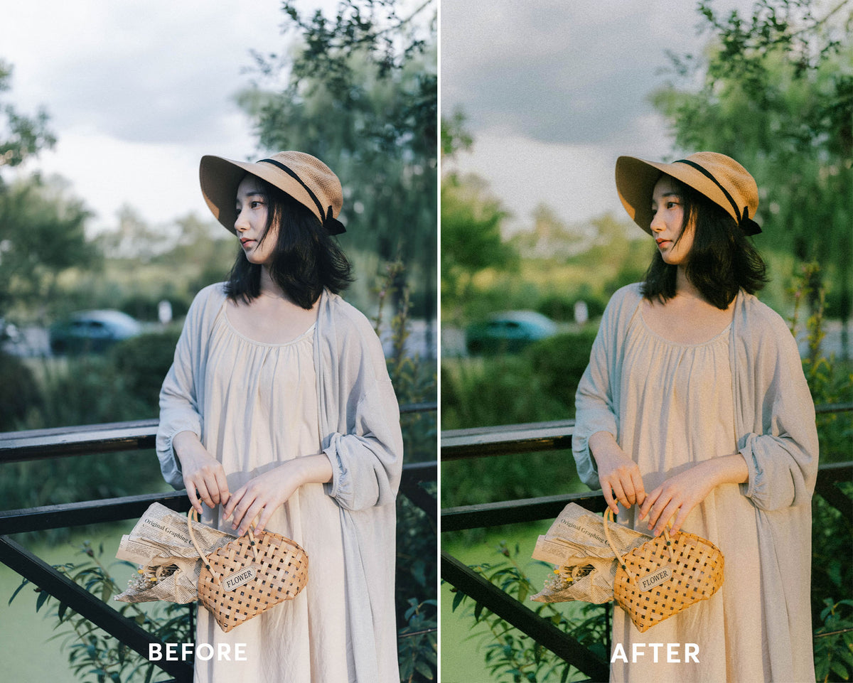 Classic Film - Luminar NEO Presets