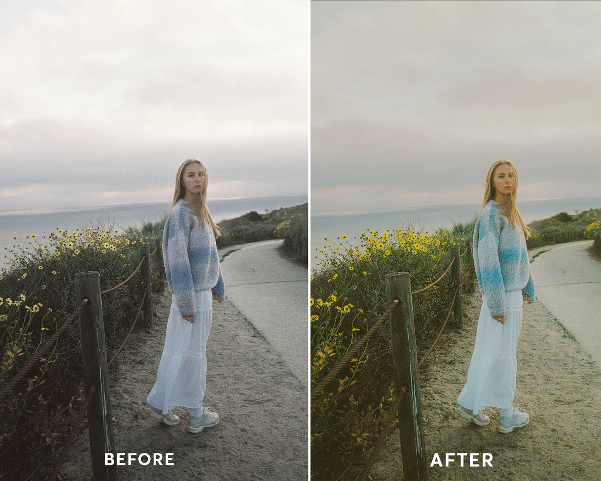 Portra 400 Presets Collection