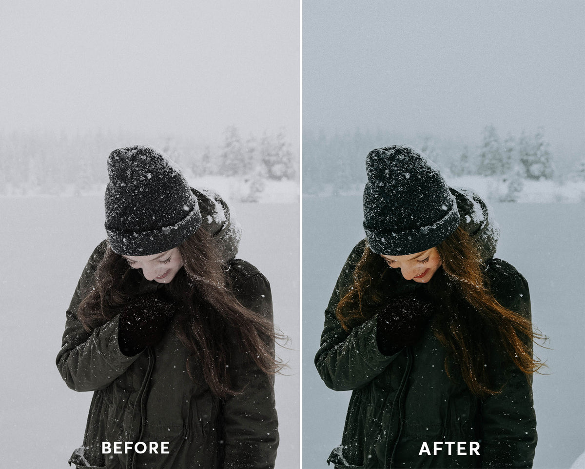 Dark Winter - Luminar NEO Presets