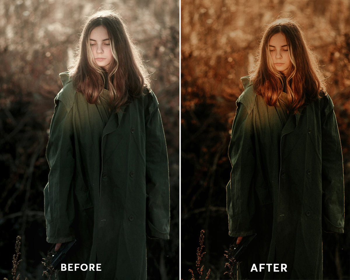 Moody Earthy - Luminar NEO Presets