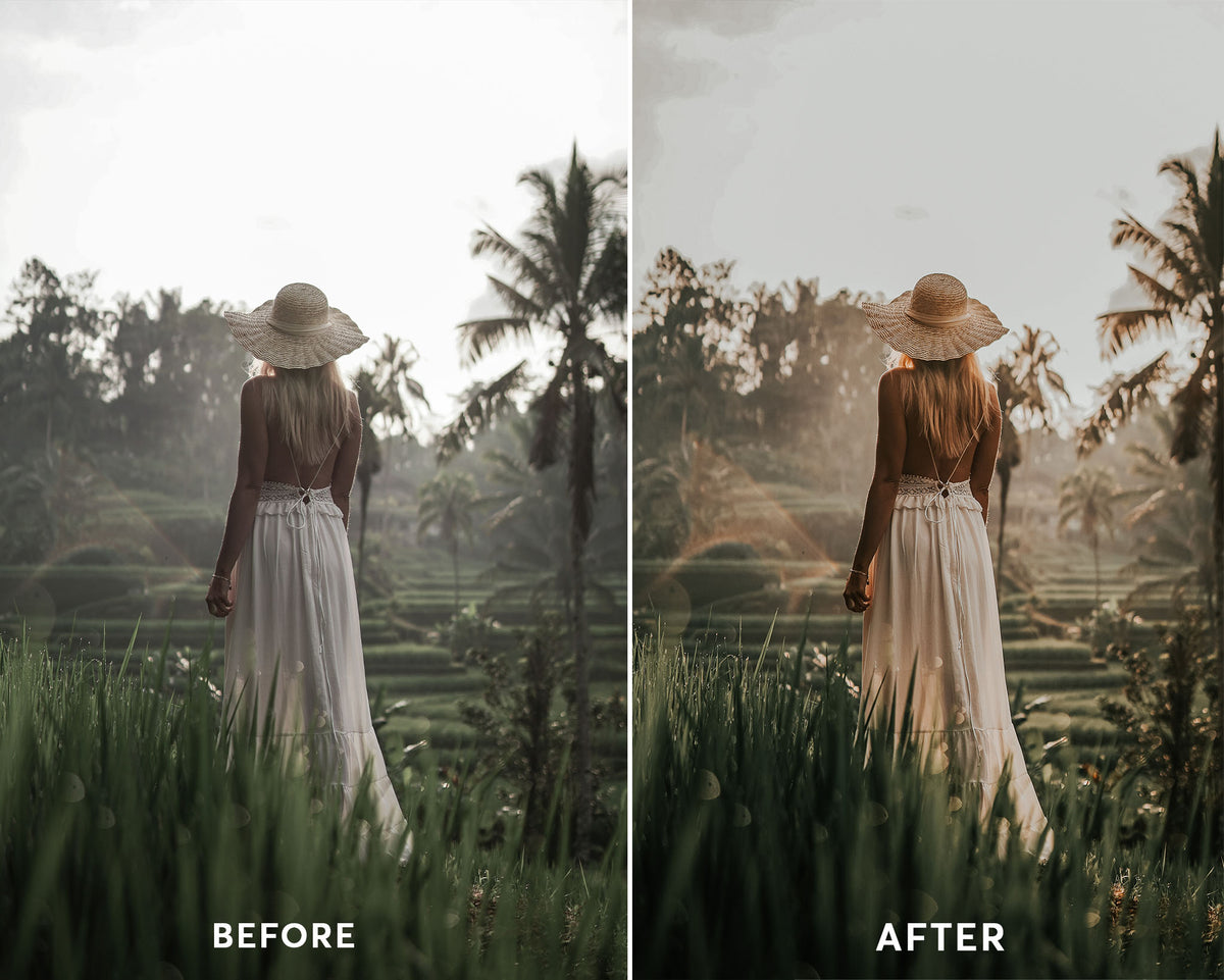 Dark Moody Presets Collection