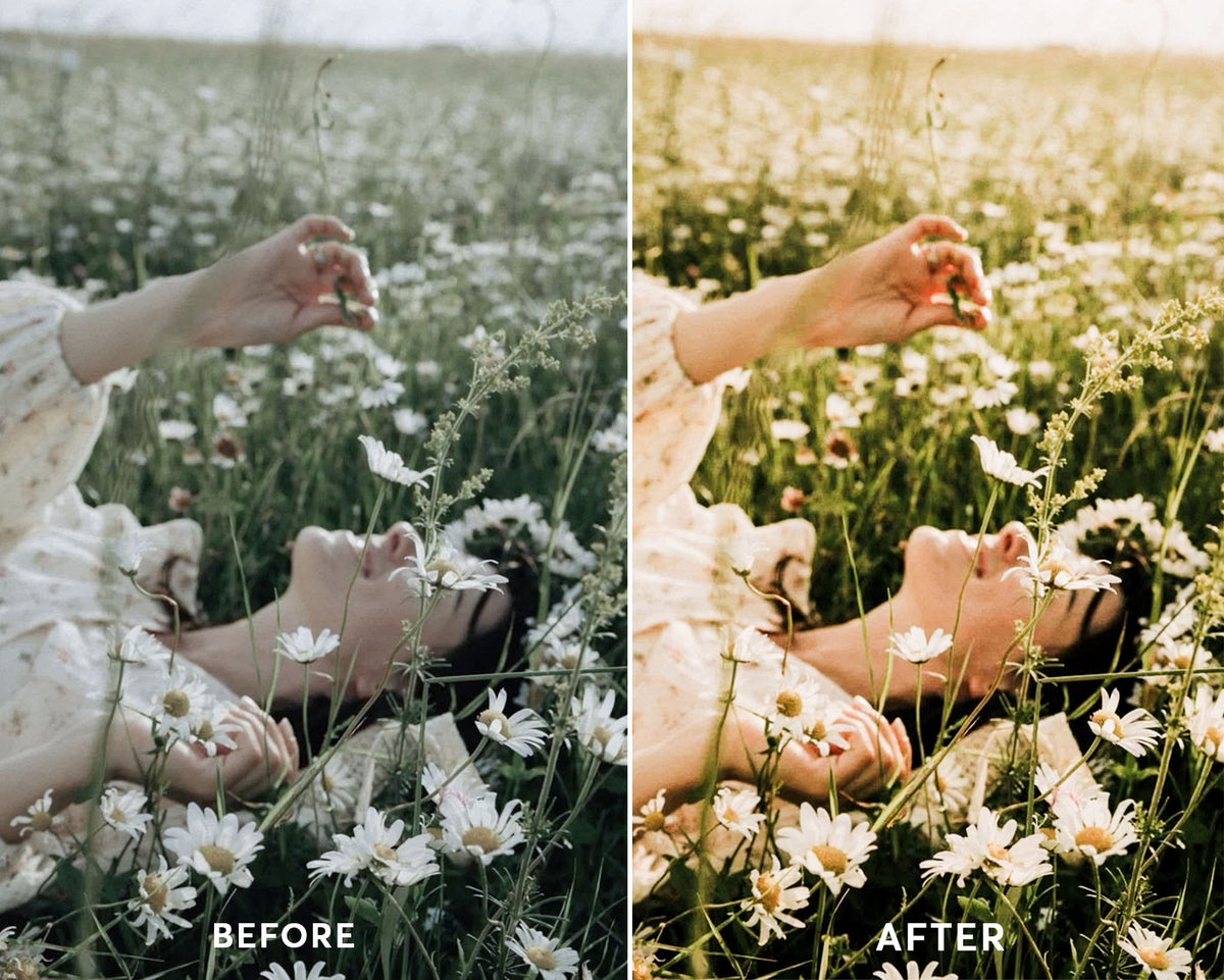 Garden - Luminar NEO Presets