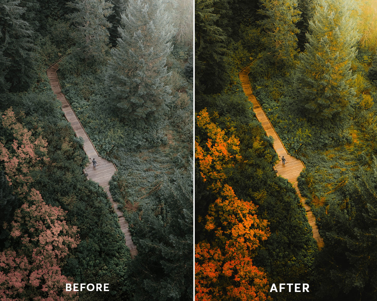 Drone Forest Presets Collection