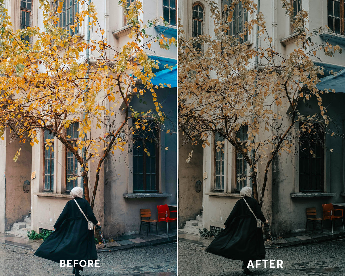 Aesthetic - Luminar NEO Presets