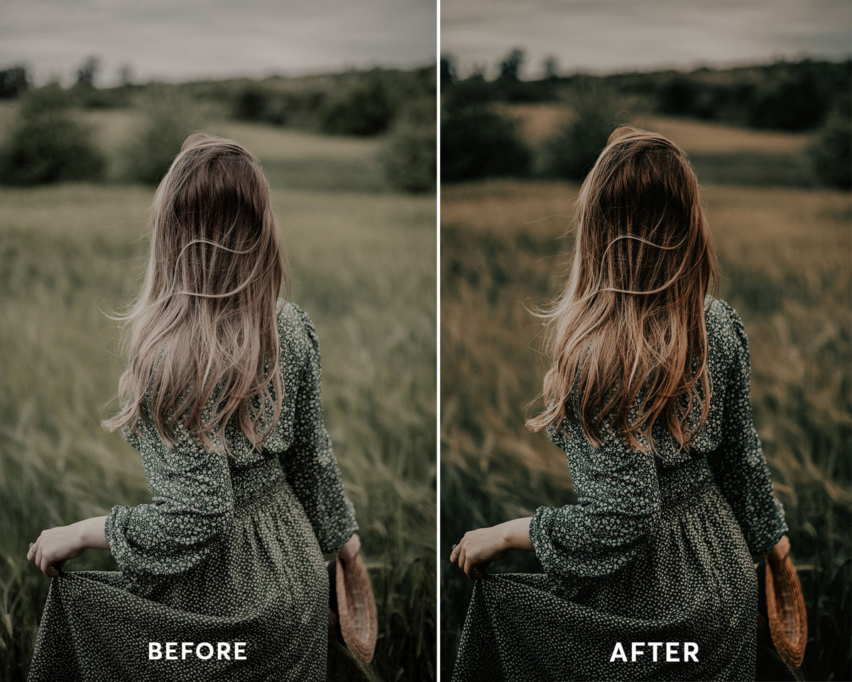 Dark Moody Presets Collection