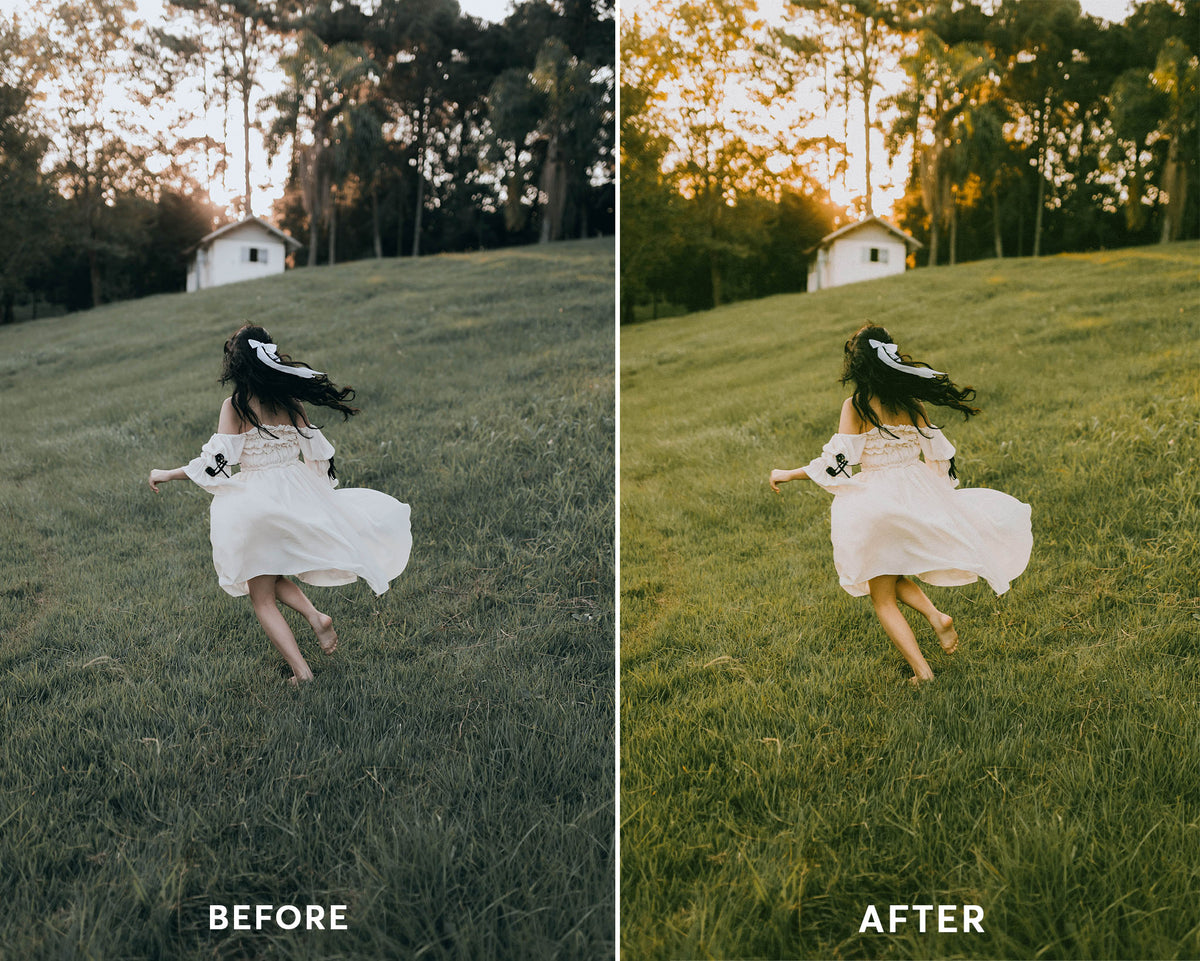 Vintage - Luminar NEO Presets