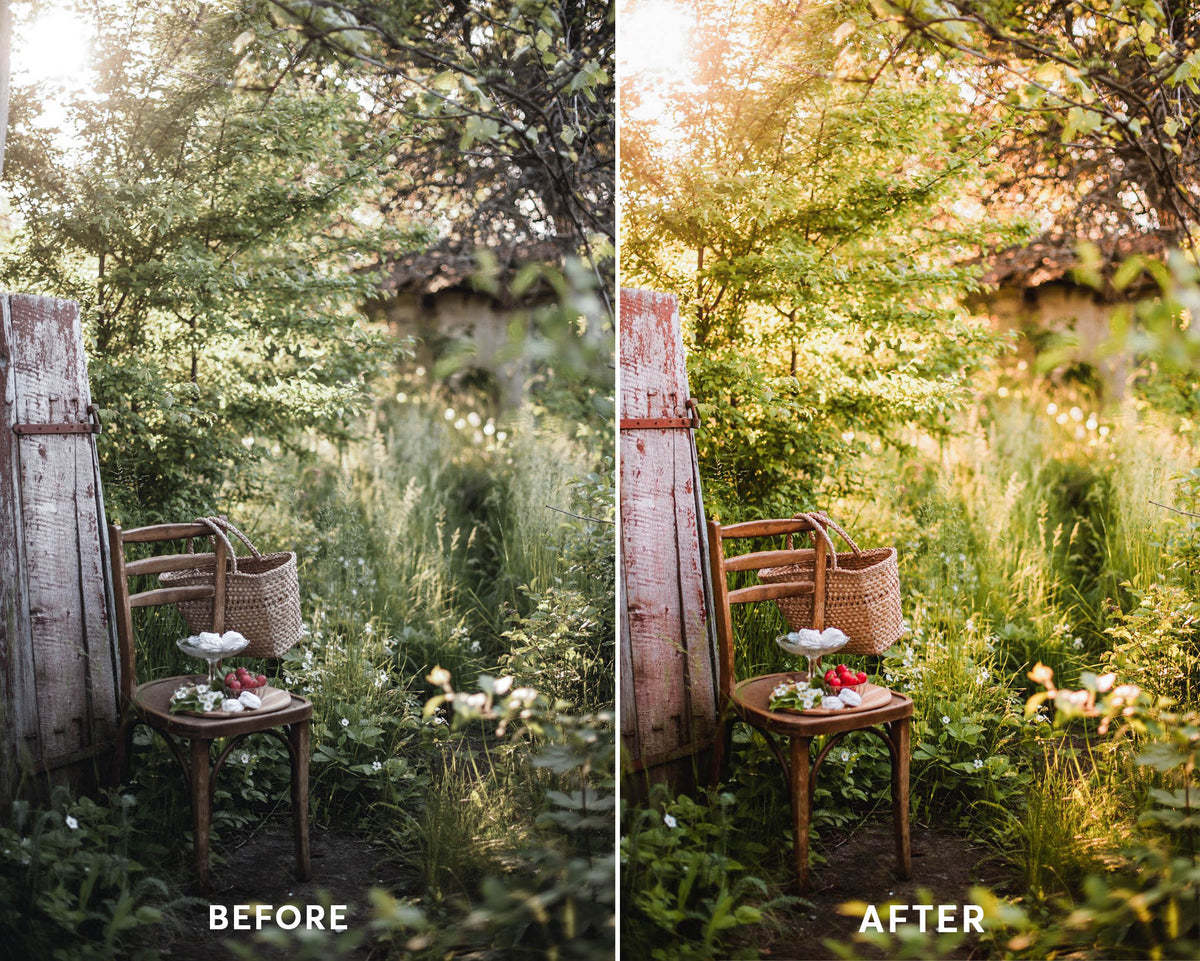 Garden - Luminar NEO Presets