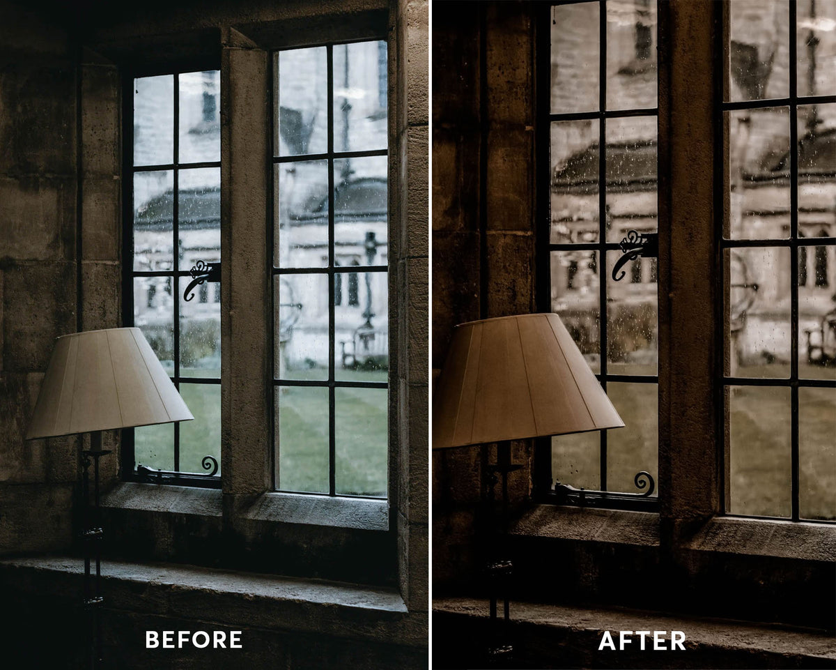Dark Academia - Luminar NEO Presets