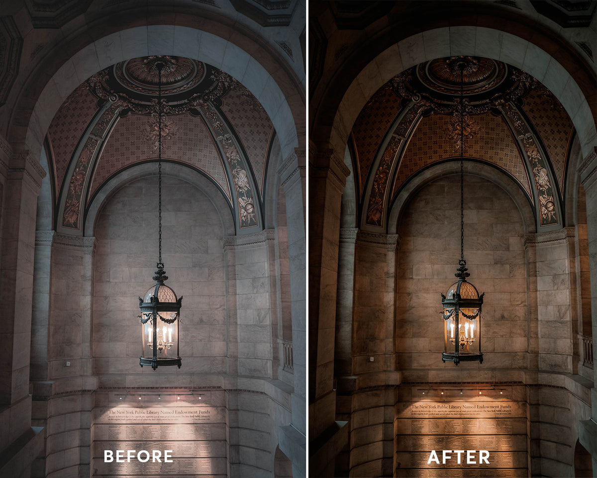 Dark Academia - Luminar NEO Presets