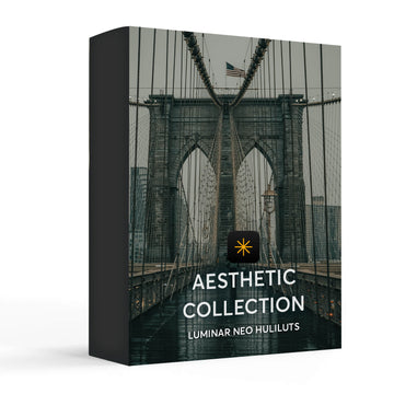 Aesthetic - Luminar NEO Presets