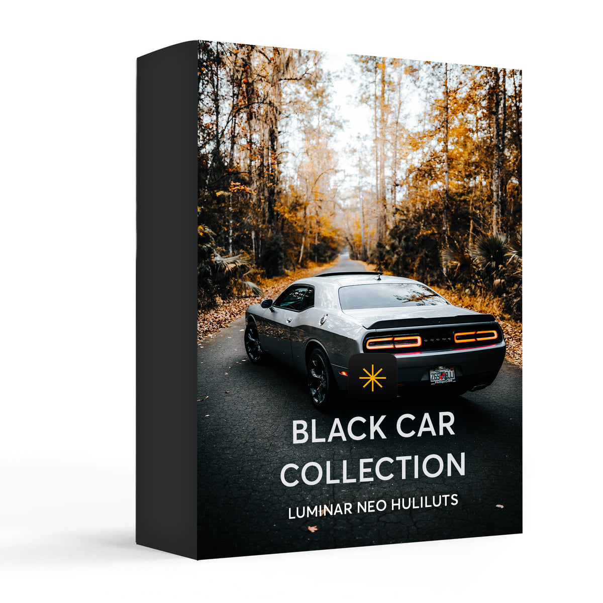 Black Car - Luminar NEO Presets