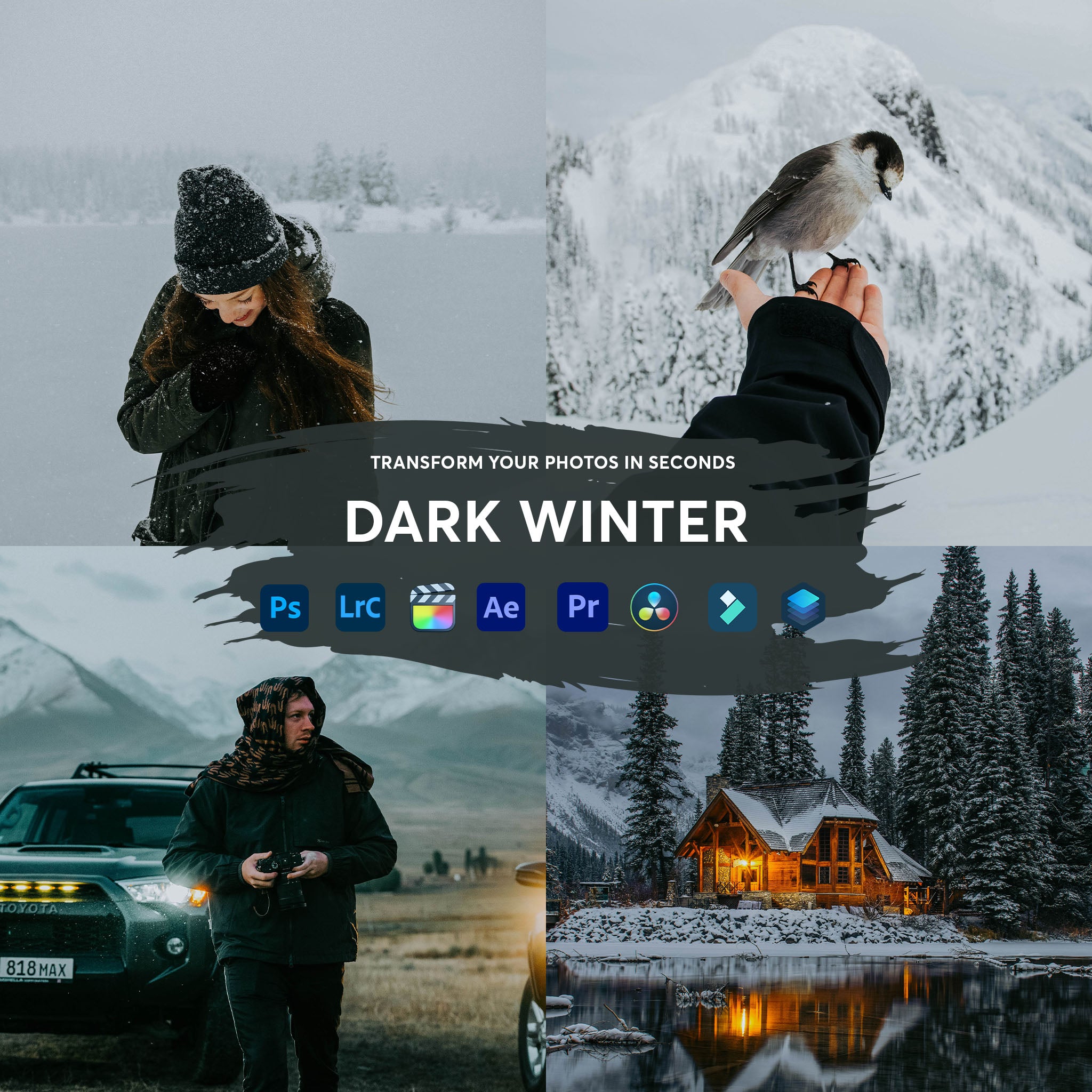Dark Winter Presets Collection