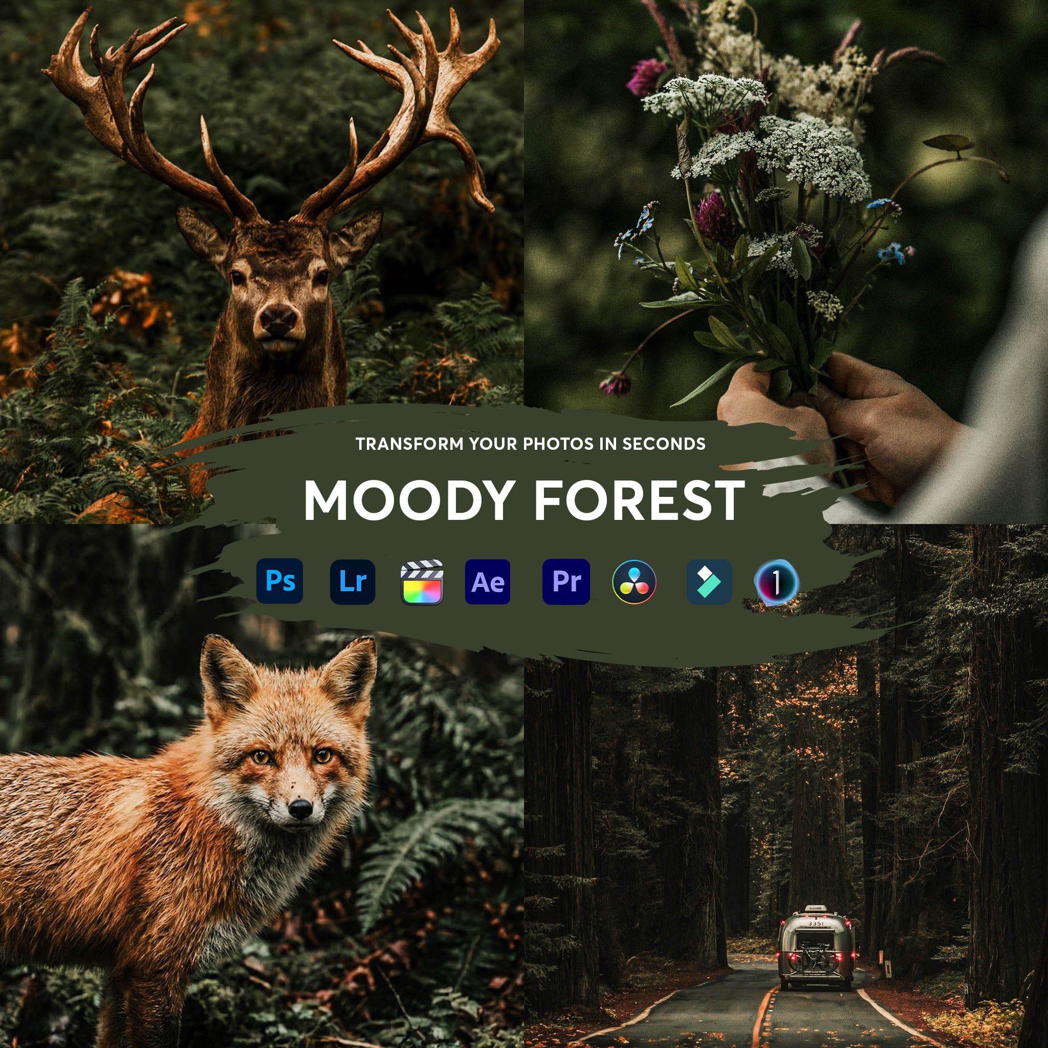 Moody Forest Presets Collection