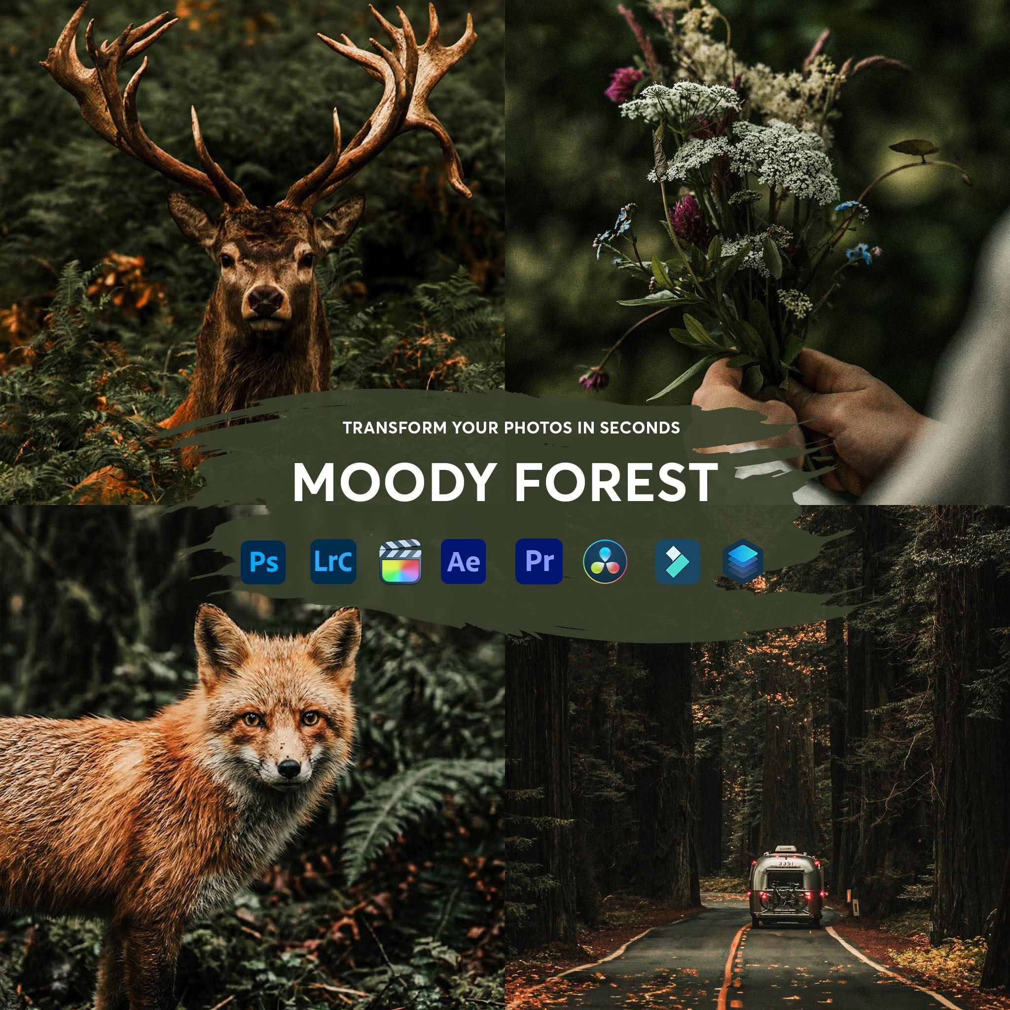 Moody Forest Presets Collection