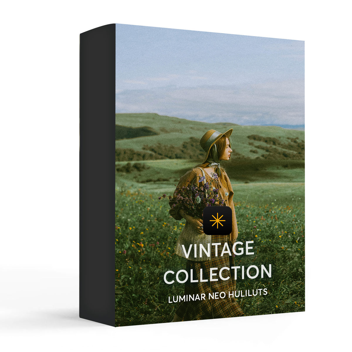 Vintage - Luminar NEO Presets