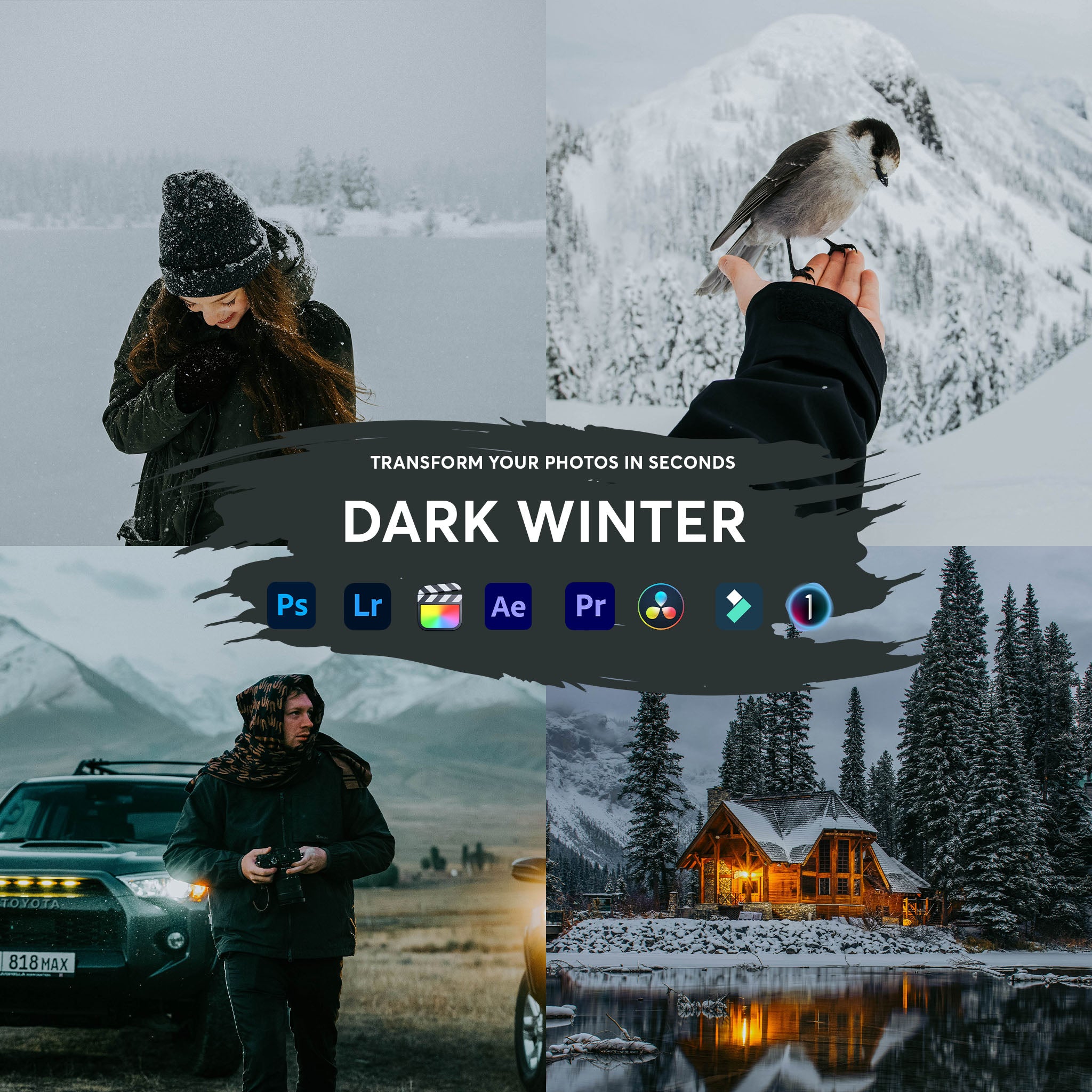Dark Winter Presets